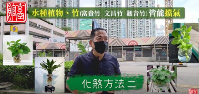 use plant slove ower crane effect feng sshui